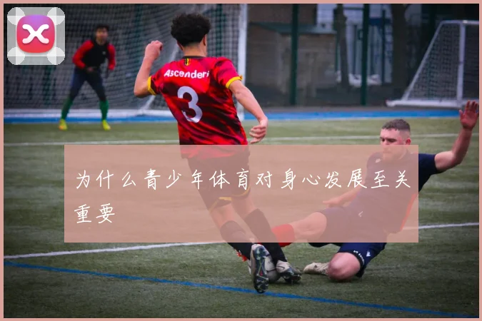 为什么青少年体育对身心发展至关重要