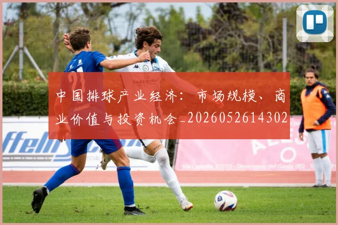 中国排球产业经济：市场规模、商业价值与投资机会_20260526143026