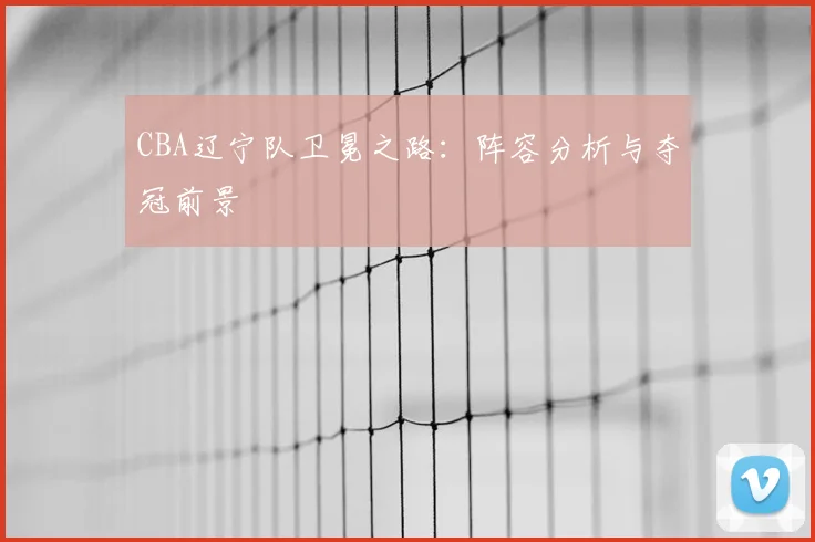 CBA辽宁队卫冕之路:阵容分析与夺冠前景